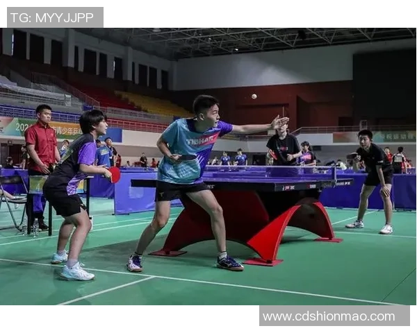 赛后分析：杭州乒乓球队与武汉乒乓球队表现状态全面对比